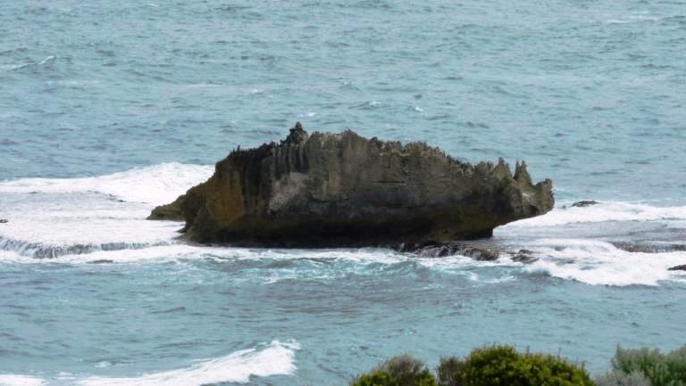 Rhino Rock